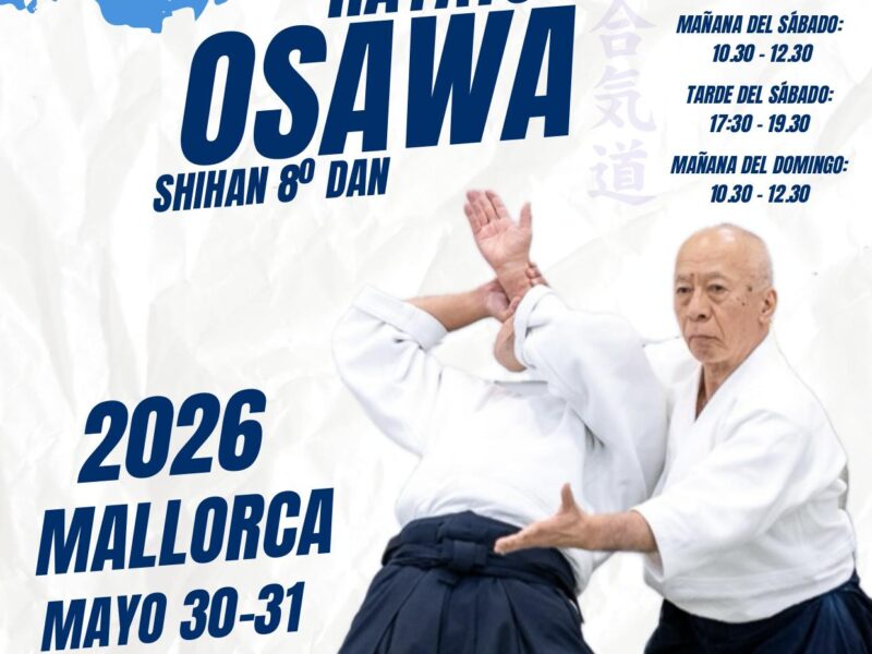 Osawa Español IME