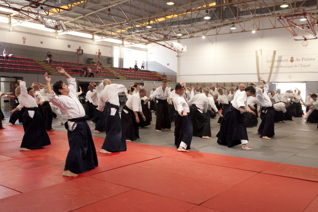 Seminario Hayato Osawa Shihan 2026, Álbum 4, foto 0330
