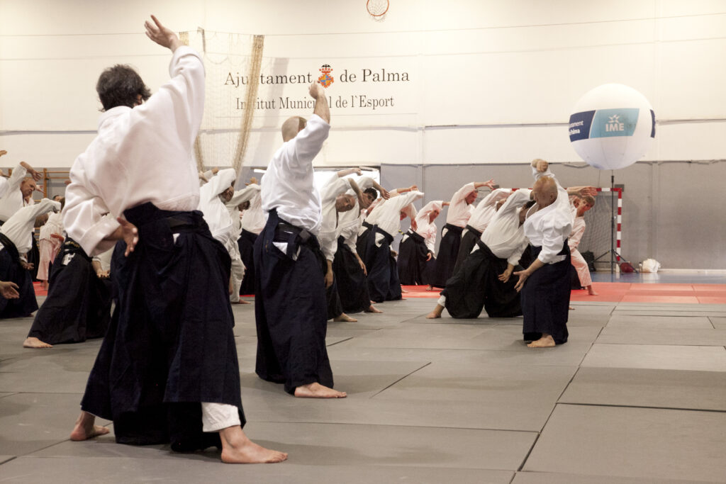Seminario Hayato Osawa Shihan 2026, Álbum 4, foto 0331