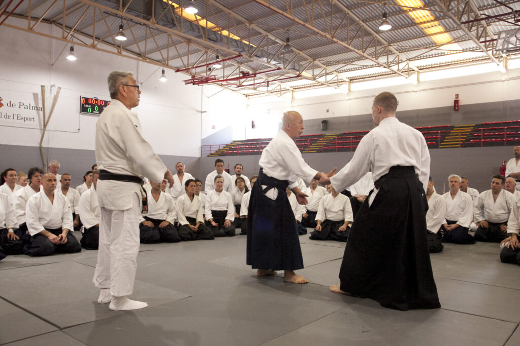 Seminario Hayato Osawa Shihan 2026, Álbum 4, foto 0347