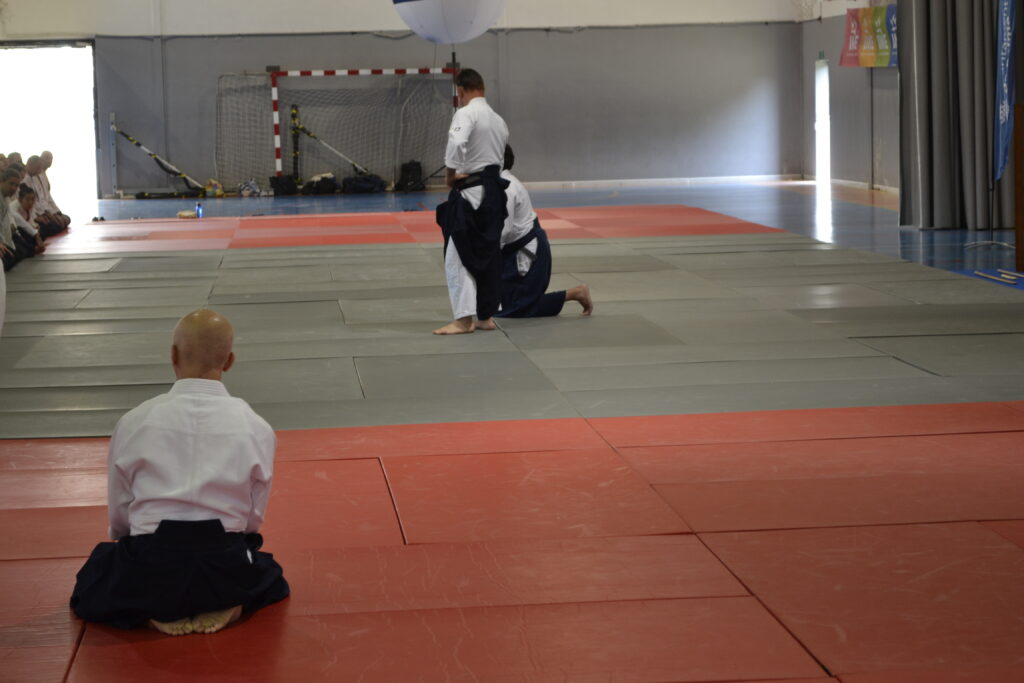 Seminario Hayato Osawa Shihan 2026, Álbum 4, foto 0183