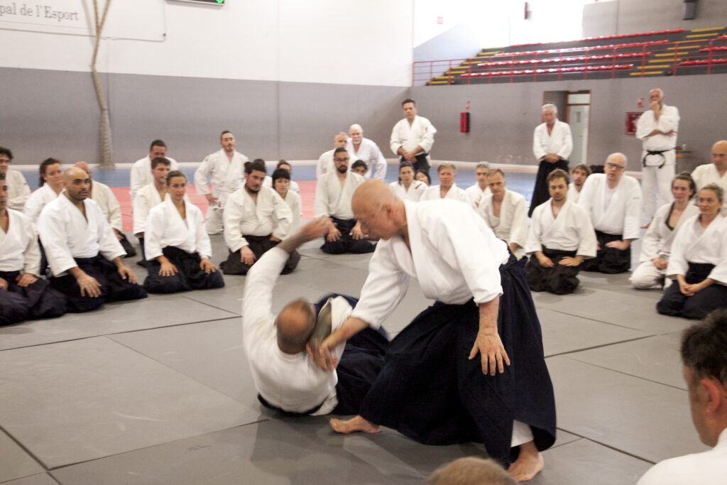 Seminario Hayato Osawa Shihan 2026, Álbum 4, foto 0387