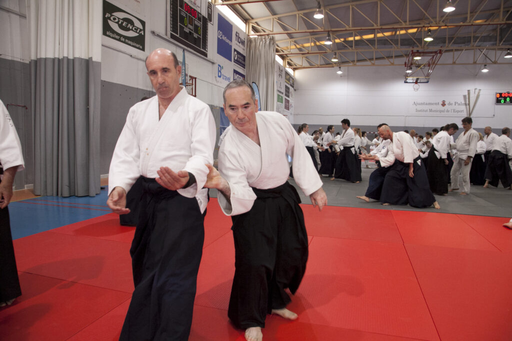 Seminario Hayato Osawa Shihan 2026, Álbum 4, foto 0429