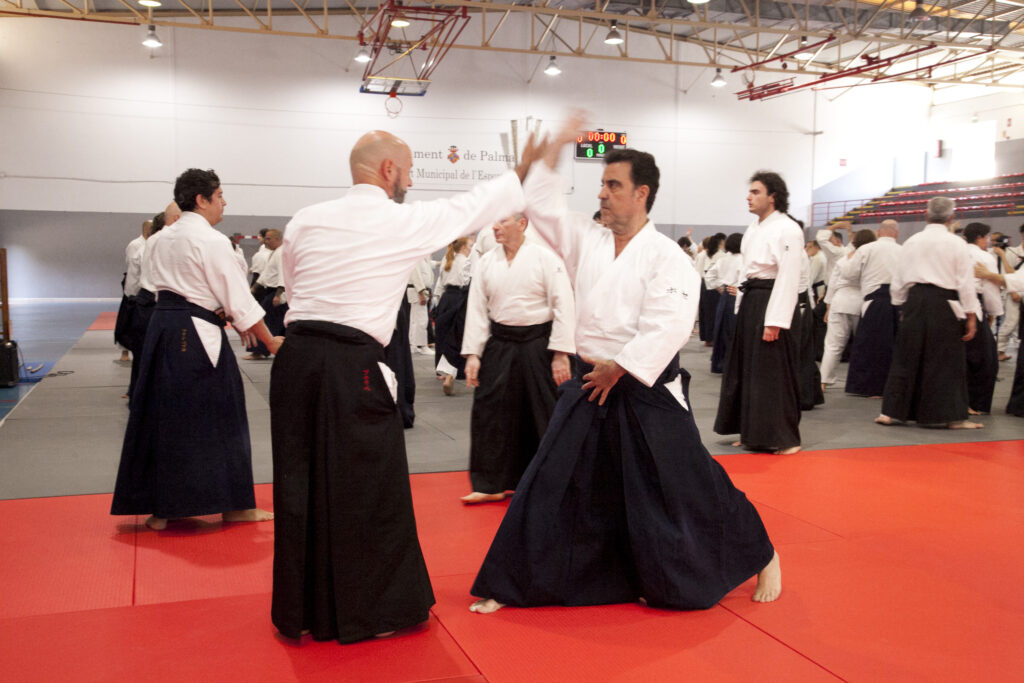 Seminario Hayato Osawa Shihan 2026, Álbum 4, foto 0443