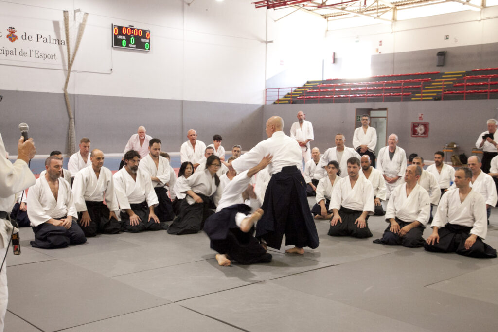 Seminario Hayato Osawa Shihan 2026, Álbum 4, foto 0459