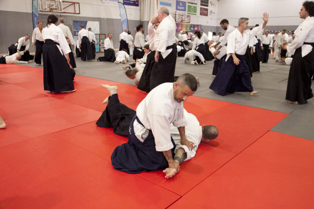 Seminario Hayato Osawa Shihan 2026, Álbum 4, foto 0470