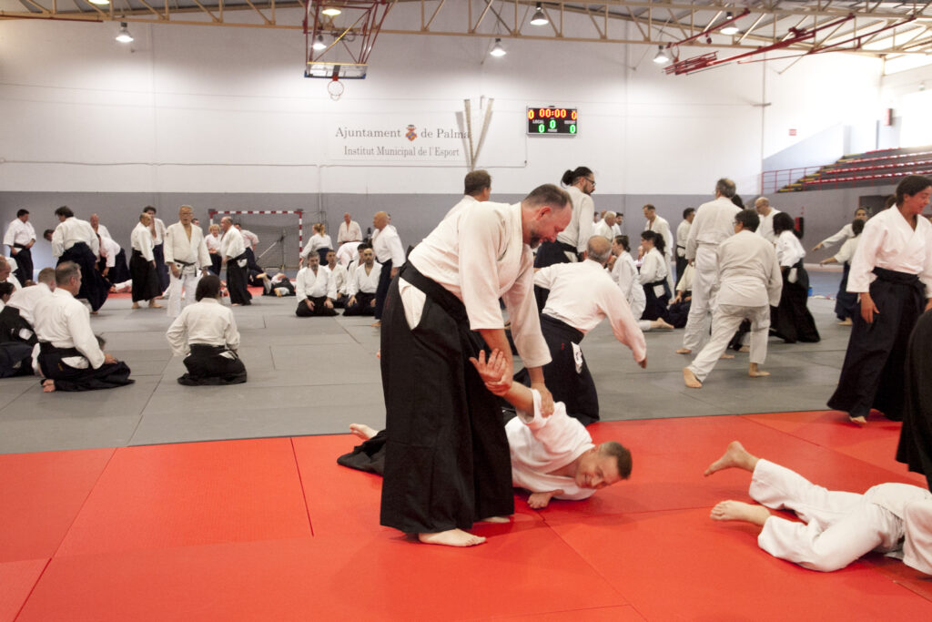 Seminario Hayato Osawa Shihan 2026, Álbum 4, foto 0473