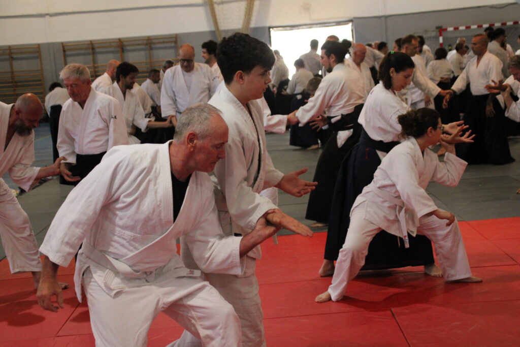Seminario Hayato Osawa Shihan 2026, Álbum 3, foto 0251