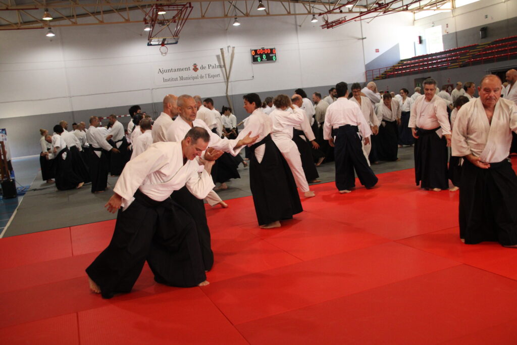 Seminario Hayato Osawa Shihan 2026, Álbum 3, foto 0262
