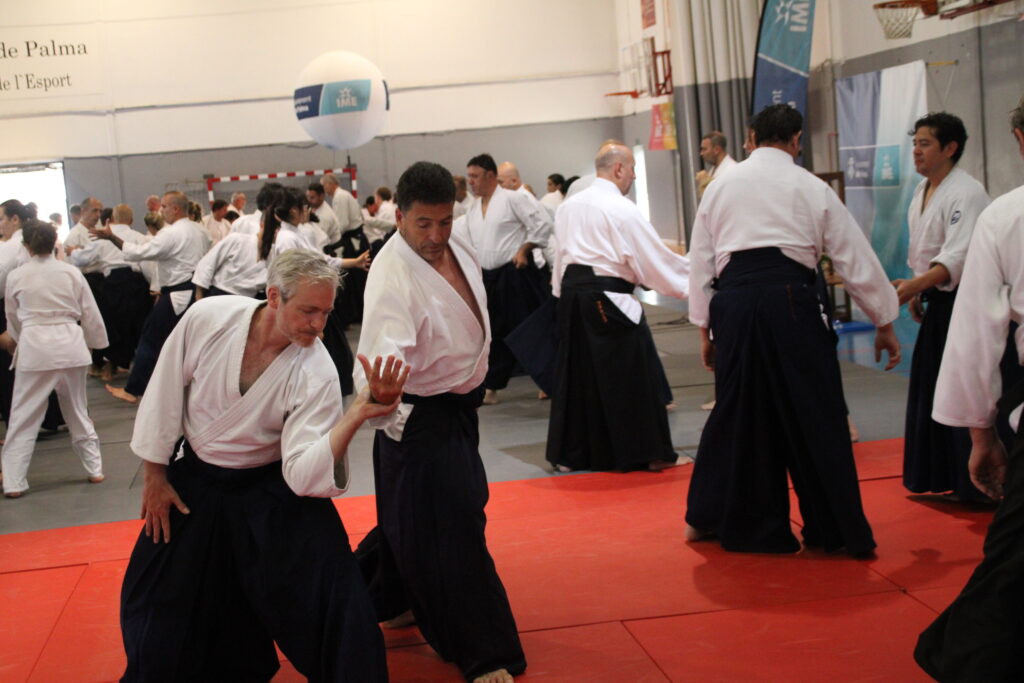 Seminario Hayato Osawa Shihan 2026, Álbum 3, foto 0266