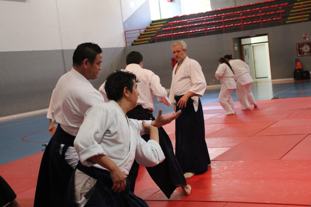 Seminario Hayato Osawa Shihan 2026, Álbum 3, foto 0270