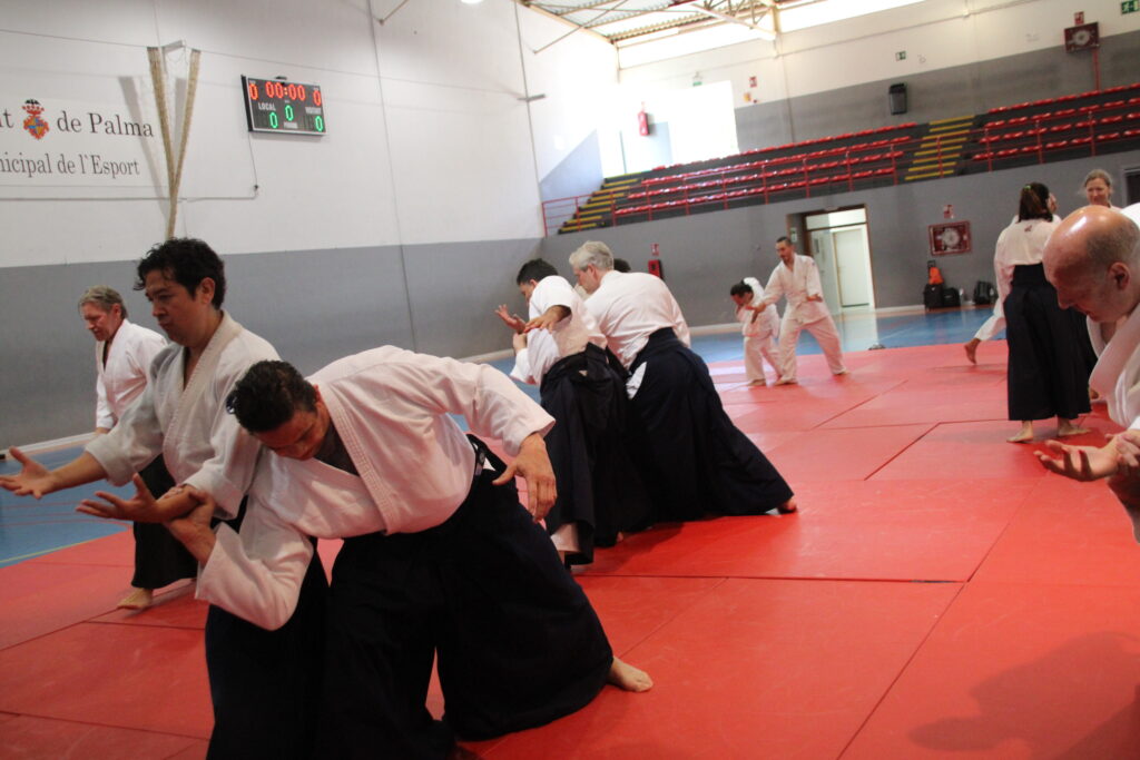 Seminario Hayato Osawa Shihan 2026, Álbum 3, foto 0271