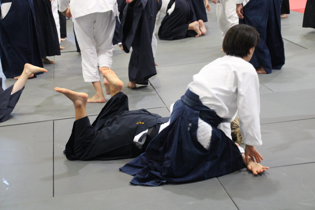 Seminario Hayato Osawa Shihan 2026, Álbum 3, foto 0330