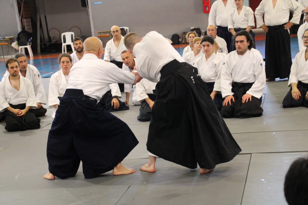 Seminario Hayato Osawa Shihan 2026, Álbum 3, foto 0334