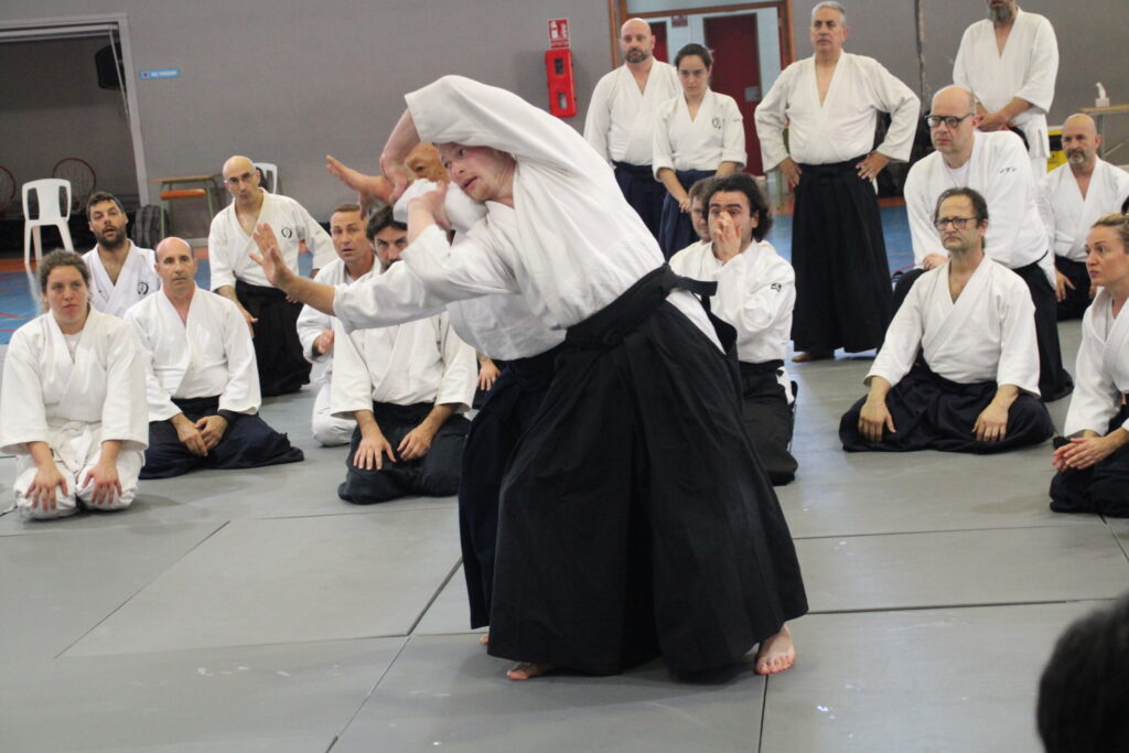 Seminario Hayato Osawa Shihan 2026, Álbum 3, foto 0343