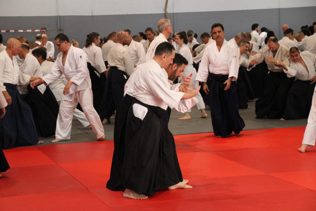 Seminario Hayato Osawa Shihan 2026, Álbum 2, foto 0027