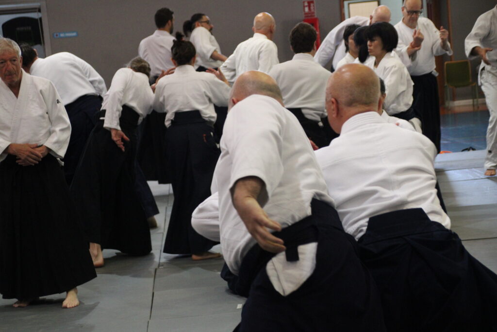 Seminario Hayato Osawa Shihan 2026, Álbum 2, foto 0039