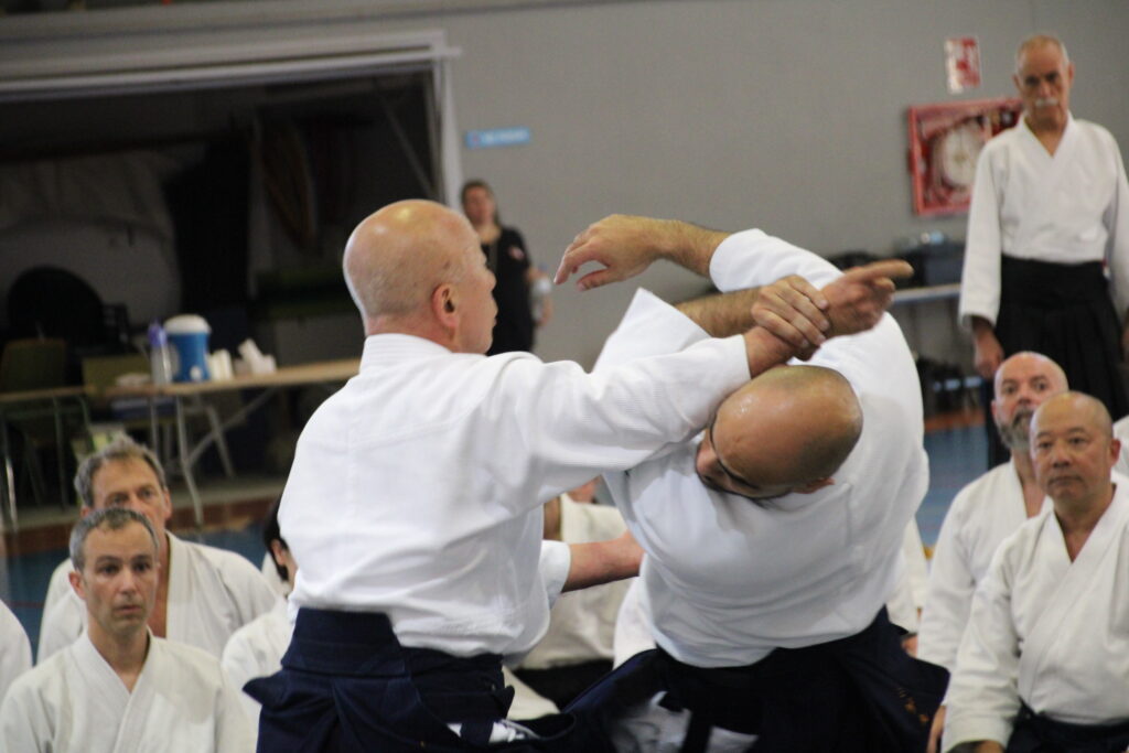 Seminario Hayato Osawa Shihan 2026, Álbum 2, foto 0072