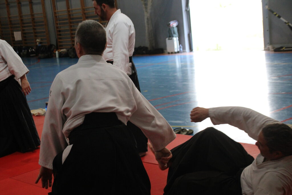 Seminario Hayato Osawa Shihan 2026, Álbum 2, foto 0083