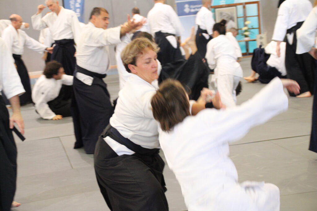 Seminario Hayato Osawa Shihan 2026, Álbum 2, foto 0101
