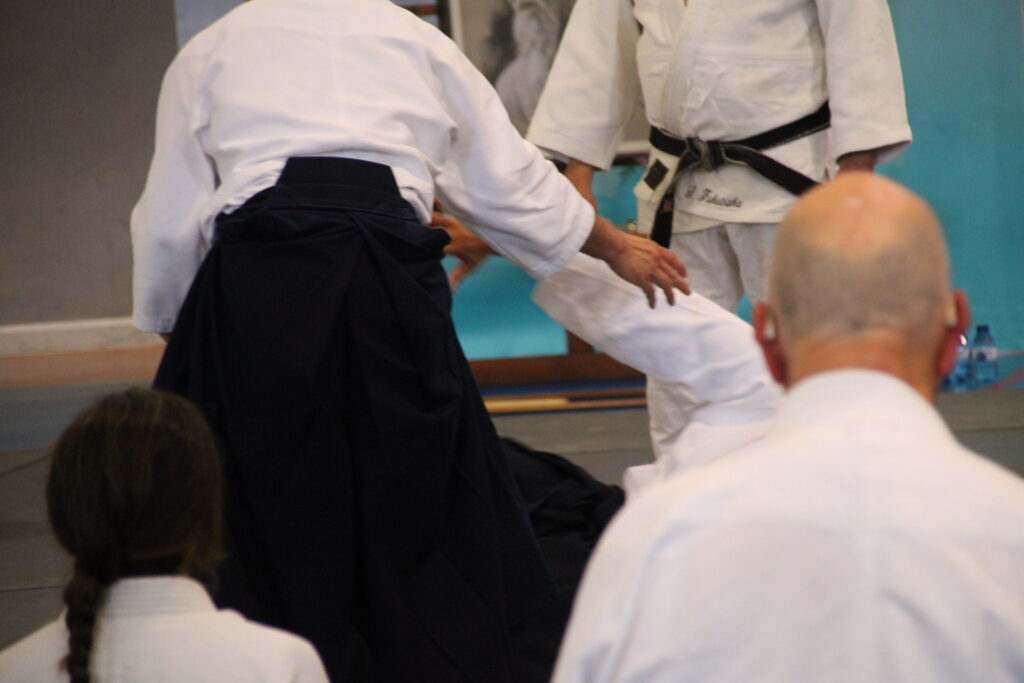 Seminario Hayato Osawa Shihan 2026, Álbum 2, foto 0109
