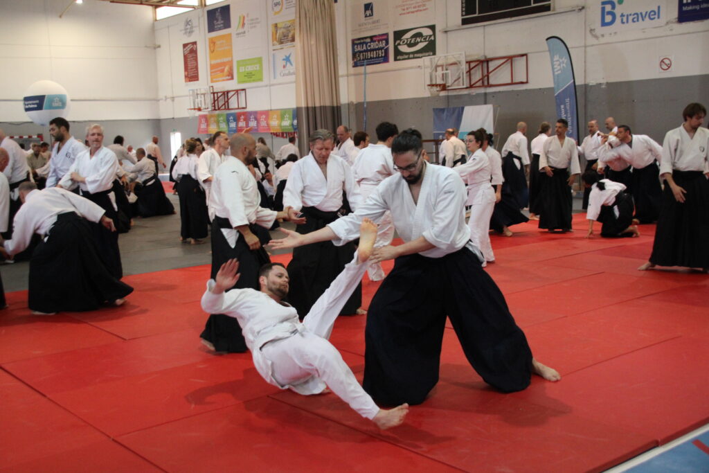 Seminario Hayato Osawa Shihan 2026, Álbum 2, foto 0156