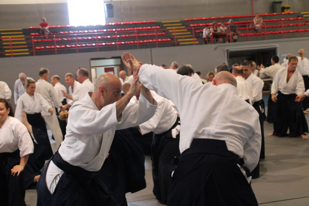 Seminario Hayato Osawa Shihan 2026, Álbum 2, foto 0176