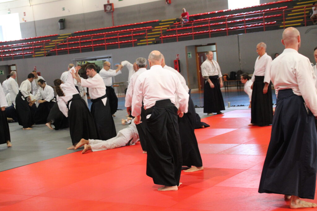 Seminario Hayato Osawa Shihan 2026, Álbum 2, foto 0181