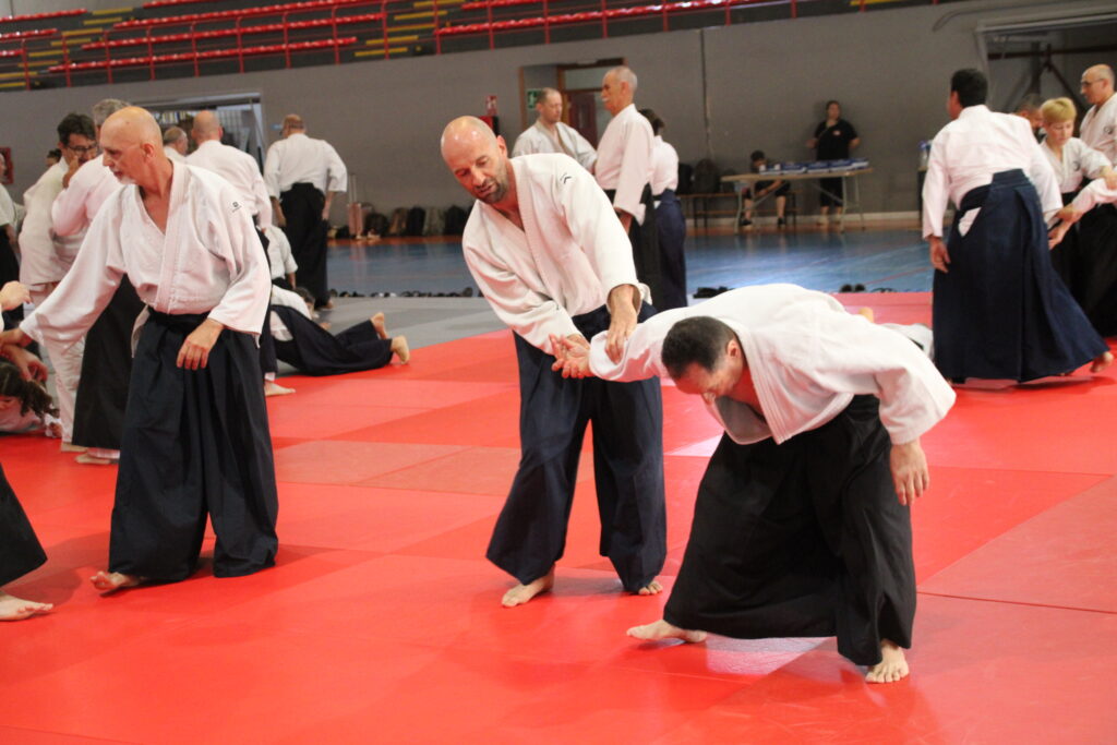 Seminario Hayato Osawa Shihan 2026, Álbum 2, foto 0183