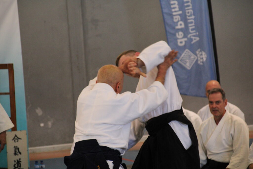 Seminario Hayato Osawa Shihan 2026, Álbum 2, foto 0207