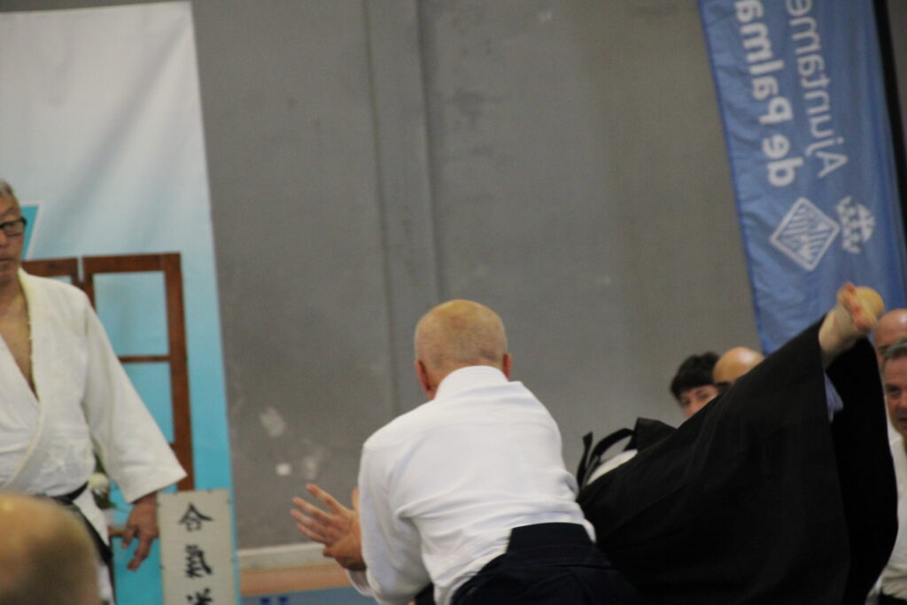 Seminario Hayato Osawa Shihan 2026, Álbum 2, foto 0208