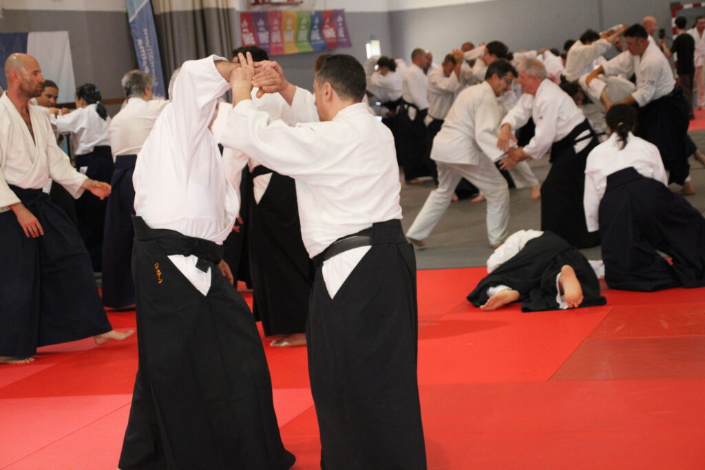 Seminario Hayato Osawa Shihan 2026, Álbum 2, foto 0219