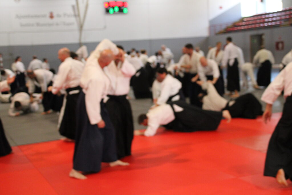Seminario Hayato Osawa Shihan 2026, Álbum 2, foto 0221