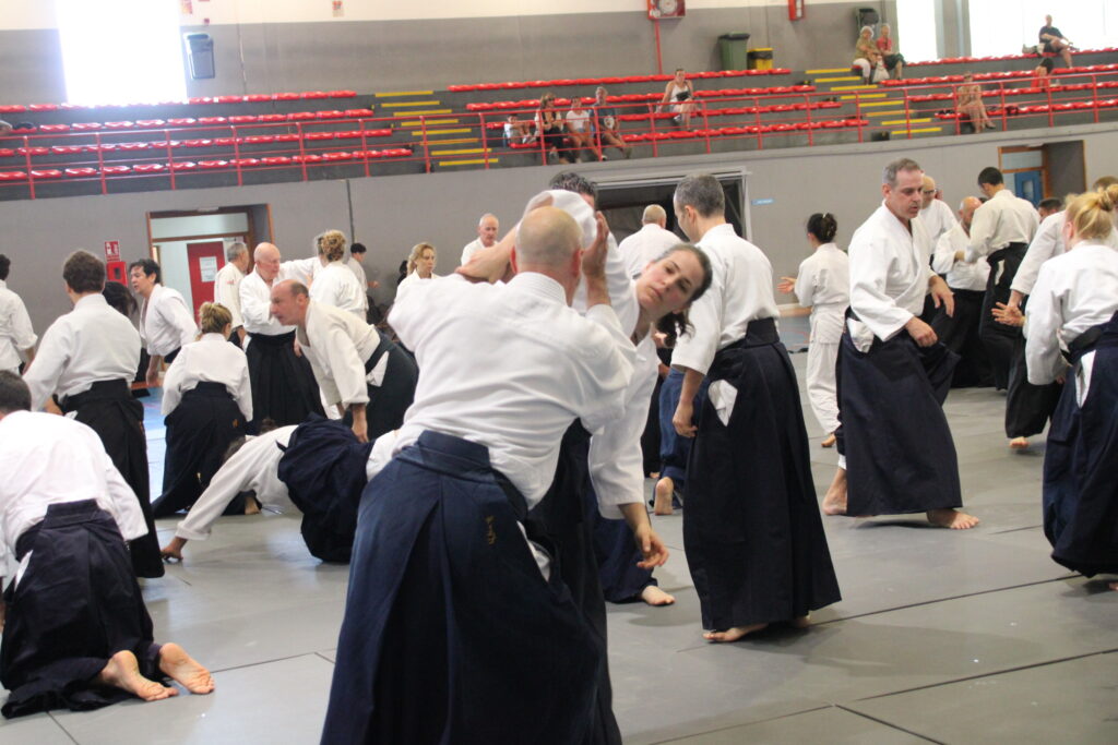Seminario Hayato Osawa Shihan 2026, Álbum 2, foto 0233