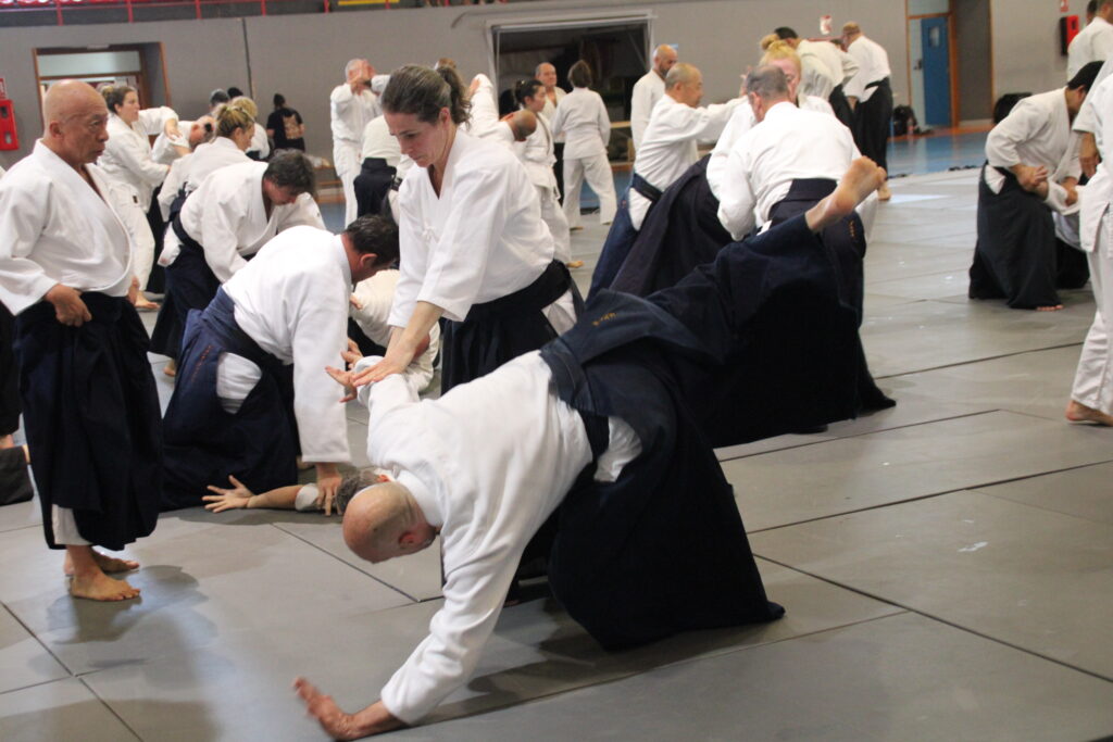 Seminario Hayato Osawa Shihan 2026, Álbum 2, foto 0238