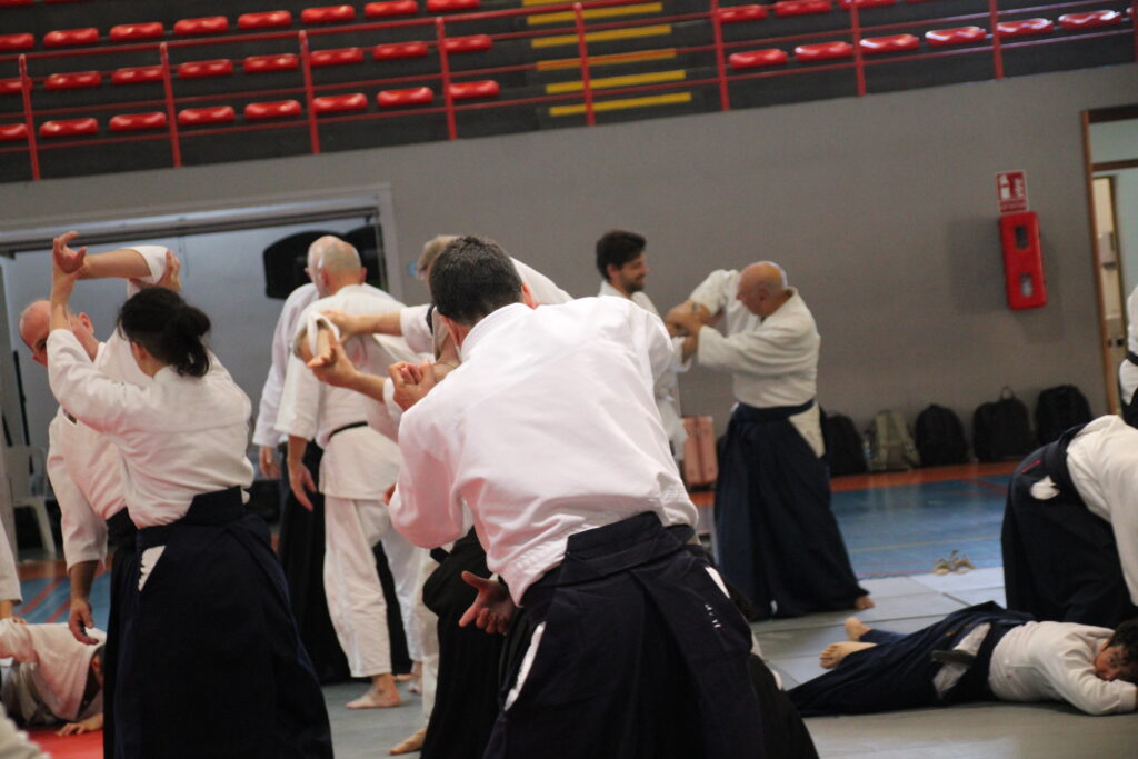 Seminario Hayato Osawa Shihan 2026, Álbum 2, foto 0240