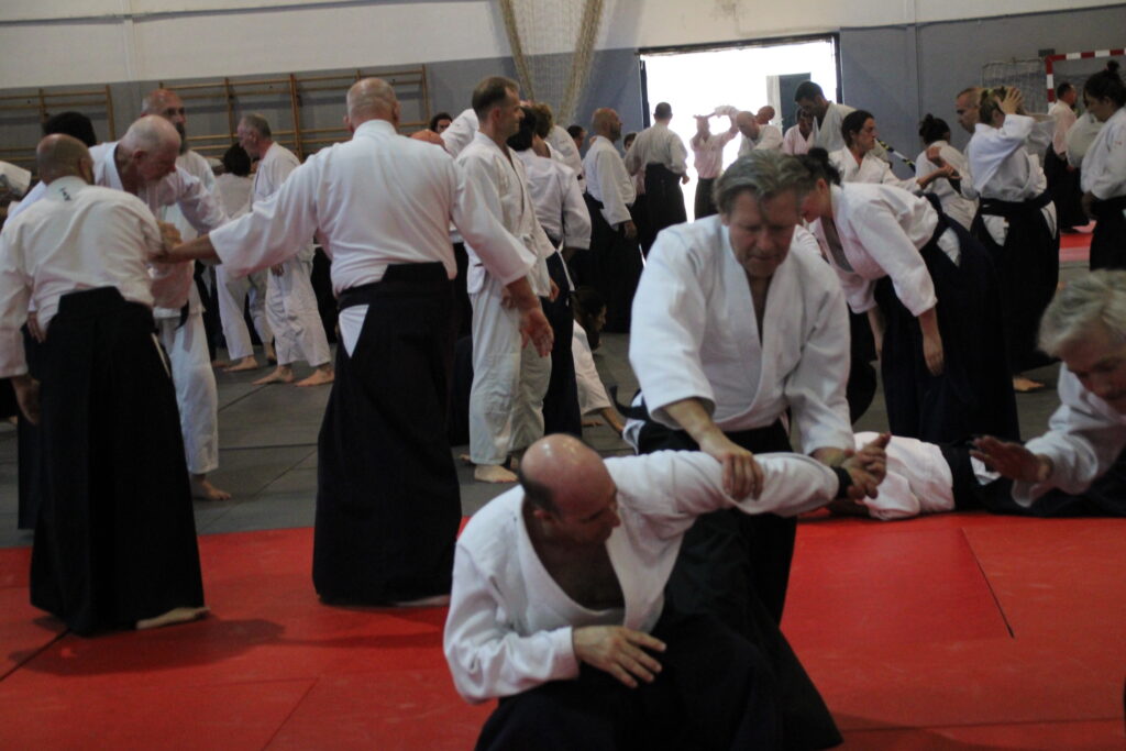 Seminario Hayato Osawa Shihan 2026, Álbum 2, foto 0246