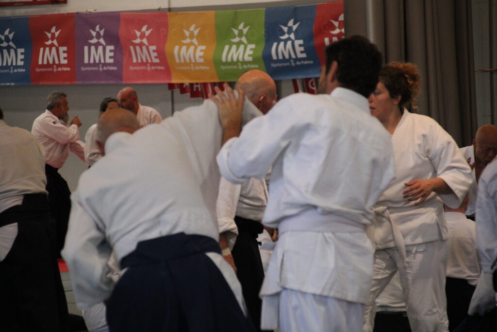 Seminario Hayato Osawa Shihan 2026, Álbum 2, foto 0250