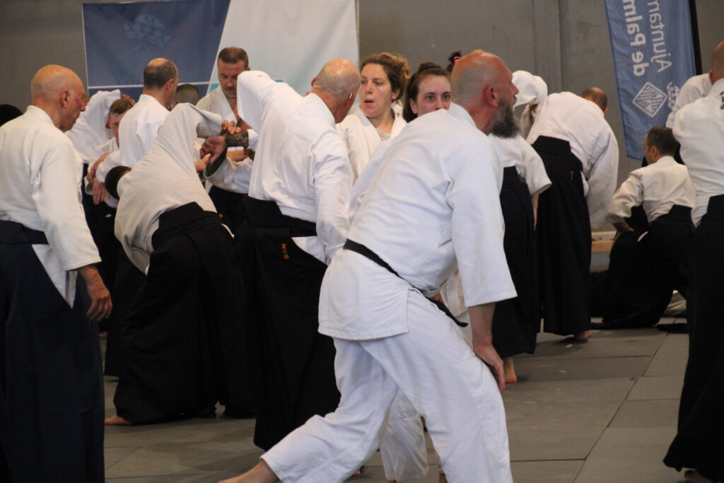 Seminario Hayato Osawa Shihan 2026, Álbum 2, foto 0260