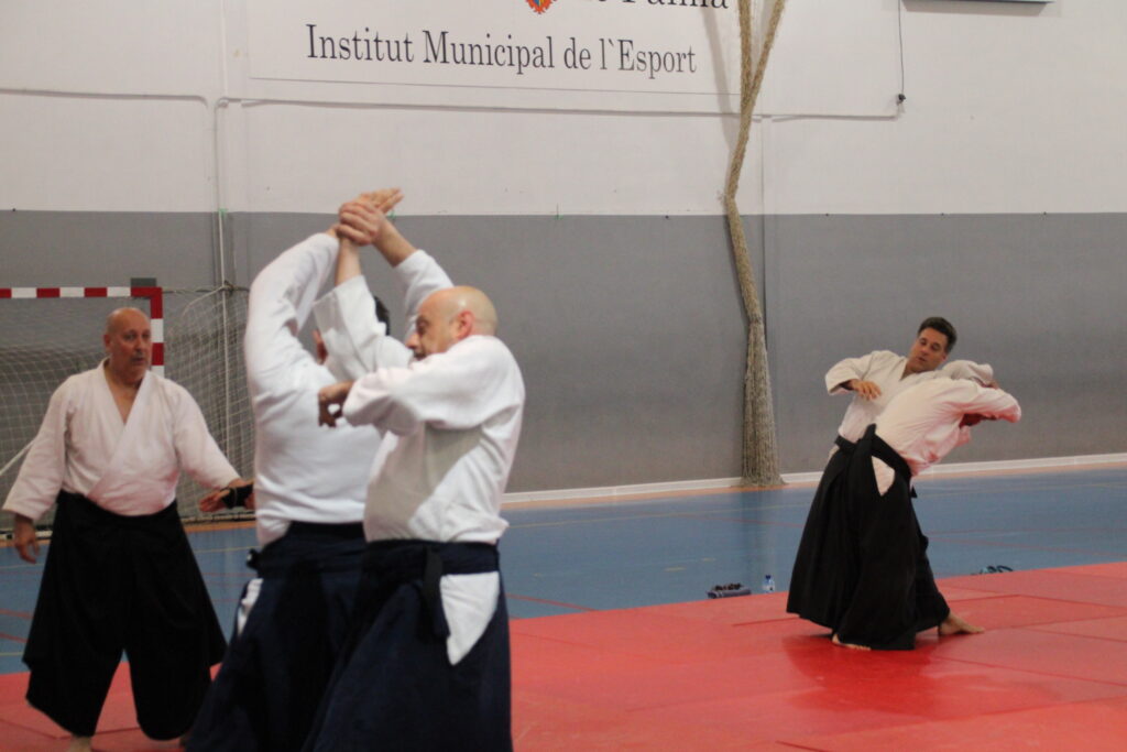 Seminario Hayato Osawa Shihan 2026, Álbum 2, foto 0337