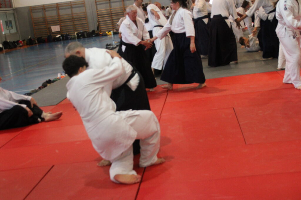 Seminario Hayato Osawa Shihan 2026, Álbum 2, foto 0348