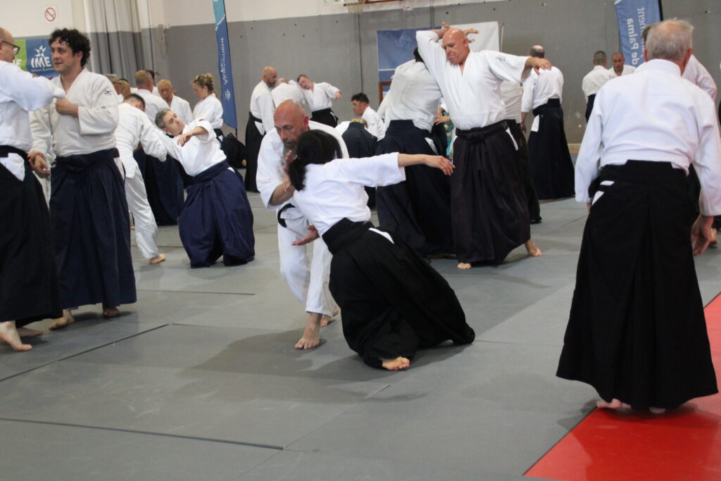 Seminario Hayato Osawa Shihan 2026, Álbum 2, foto 0353