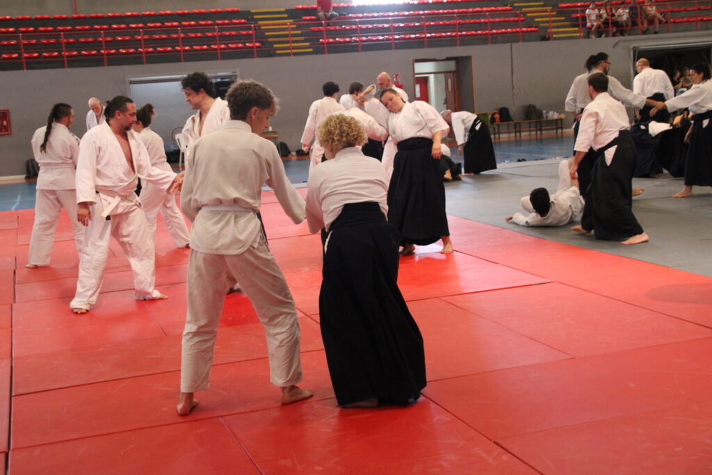 Seminario Hayato Osawa Shihan 2026, Álbum 2, foto 0359