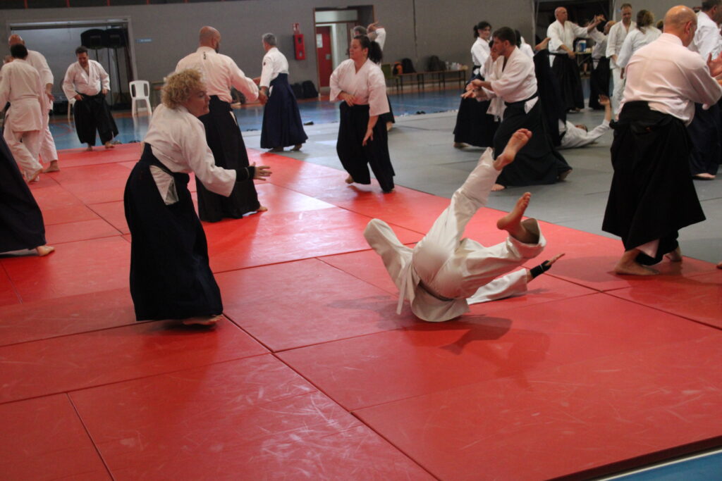 Seminario Hayato Osawa Shihan 2026, Álbum 2, foto 0361
