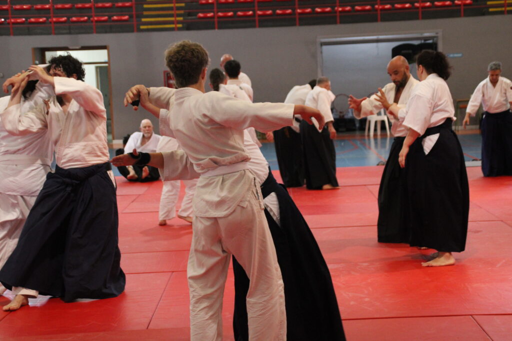 Seminario Hayato Osawa Shihan 2026, Álbum 2, foto 0363