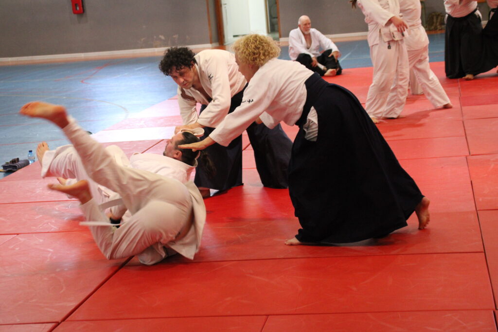 Seminario Hayato Osawa Shihan 2026, Álbum 2, foto 0366