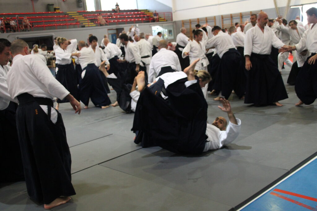 Seminario Hayato Osawa Shihan 2026, Álbum 2, foto 0368