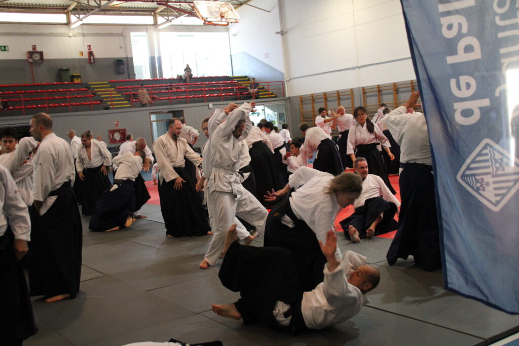 Seminario Hayato Osawa Shihan 2026, Álbum 2, foto 0372