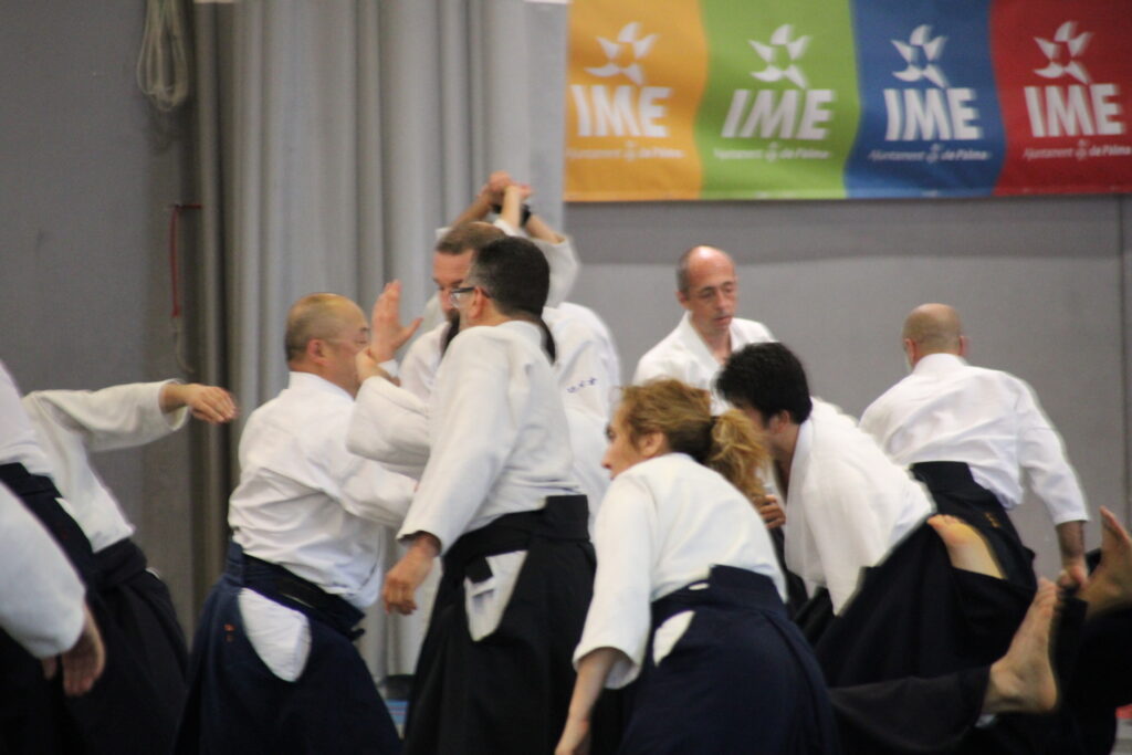 Seminario Hayato Osawa Shihan 2026, Álbum 2, foto 0401