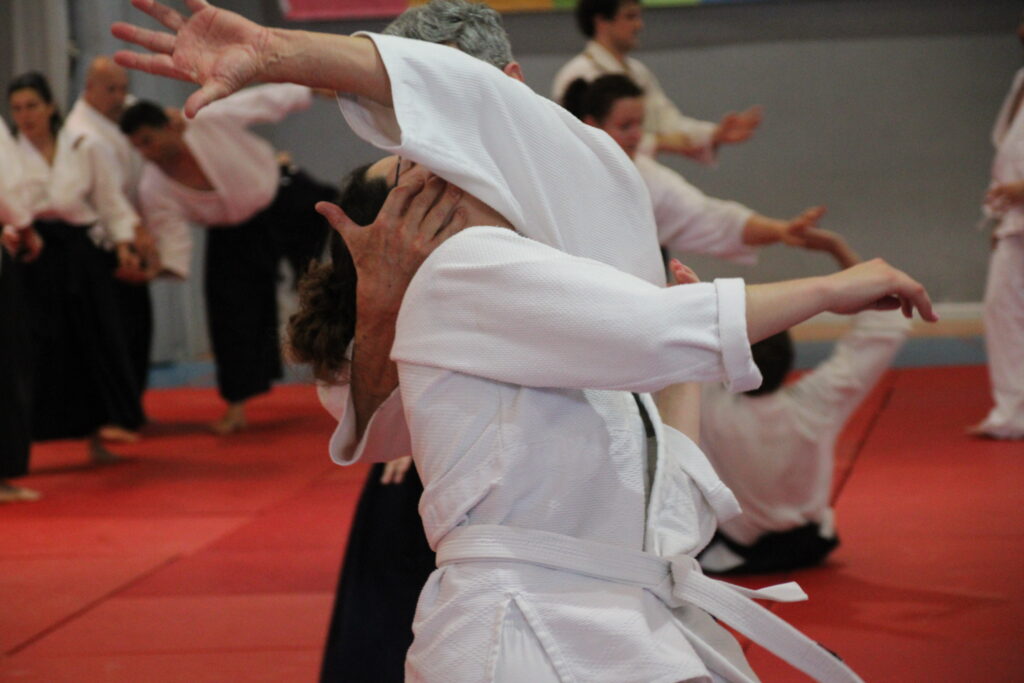 Seminario Hayato Osawa Shihan 2026, Álbum 2, foto 0404